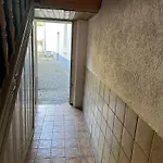 Elegante In Mg